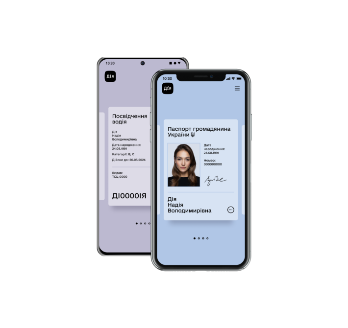 Diia Connector Illustration 1